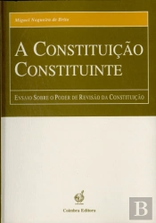 A Constituição Constituinte