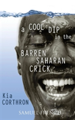 Bertrand.pt - A Cool Dip In The Barren Saharan Crick
