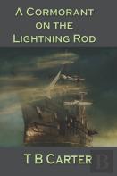 A Cormorant On The Lightning Rod