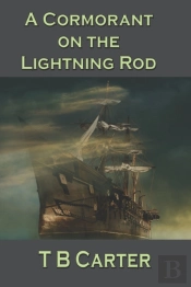 A Cormorant On The Lightning Rod