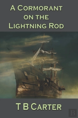 Bertrand.pt - A Cormorant On The Lightning Rod
