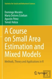 A Course On Small Area Estimation And Mixed Models