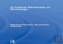 A Critical Dictionary Of Sociology