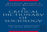 A Critical Dictionary Of Sociology