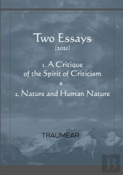 A Critique Of The Spirit Of Criticism -