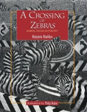 A Crossing Of Zebras: Animal Packs In Po