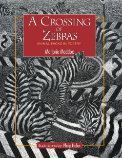 Bertrand.pt - A Crossing Of Zebras: Animal Packs In Po