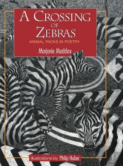 Bertrand.pt - A Crossing Of Zebras