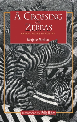 Bertrand.pt - A Crossing Of Zebras