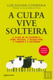 A Culpa Vive Solteira