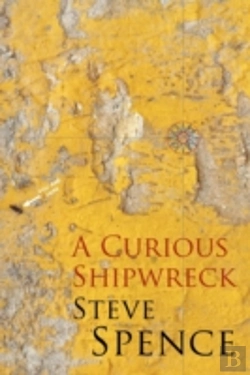 Bertrand.pt - A Curious Shipwreck
