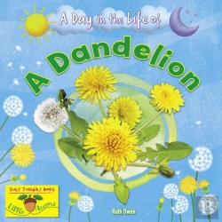Bertrand.pt - A Dandelion