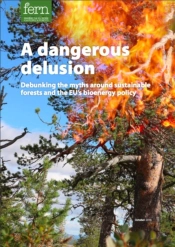 A Dangerous Delusion