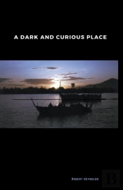 A Dark And Curious Place