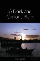 A Dark And Curious Place