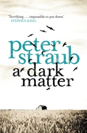 A Dark Matter