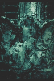 A Dark Woods' Summation