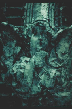 Bertrand.pt - A Dark Woods' Summation