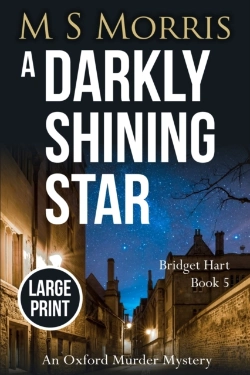 Bertrand.pt - A Darkly Shining Star (Large Print)