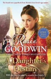 A Daughter'S Destiny