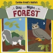 A Day And Night In The Forest