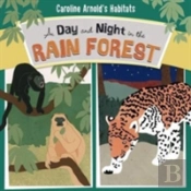 A Day And Night In The Rain Forest