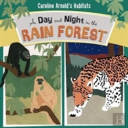 Bertrand.pt - A Day And Night In The Rain Forest