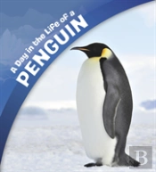 A Day In The Life Of A Penguin