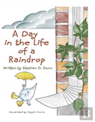 A Day In The Life Of A Raindrop