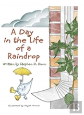 A Day In The Life Of A Raindrop