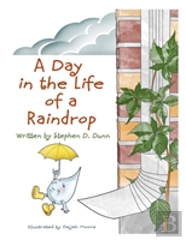 A Day In The Life Of A Raindrop