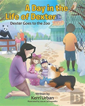 A Day In The Life Of Dexter