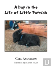 A Day In The Life Of Little Patrick