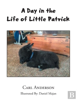 Bertrand.pt - A Day In The Life Of Little Patrick