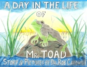 A Day In The Life Of Mr. Toad