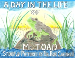 Bertrand.pt - A Day In The Life Of Mr. Toad