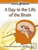 A Day In The Life Of The Brain