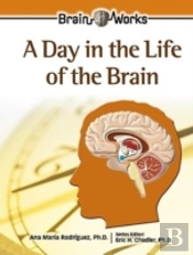 A Day In The Life Of The Brain