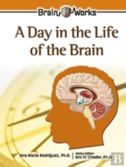 Bertrand.pt - A Day In The Life Of The Brain
