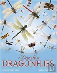 A Dazzle Of Dragonflies