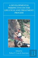 A Developmental Perspective On The Life Cycle And Treatment Process