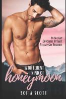 A Different Kind Of Honeymoon
