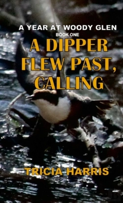 Bertrand.pt - A Dipper Flew Past, Calling