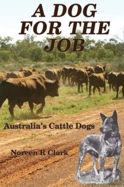 Bertrand.pt - A Dog For The Job
