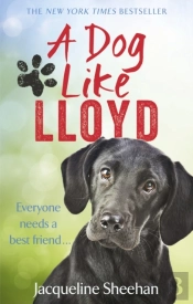 A Dog Like Lloyd