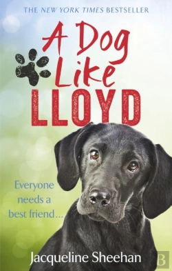Bertrand.pt - A Dog Like Lloyd