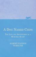 A Dog Named Chips - The Life And Adventures Of A Mongrel Scamp