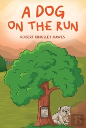 A Dog On The Run