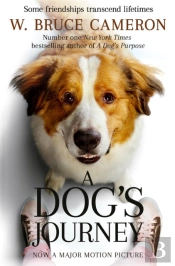 A Dog'S Journey