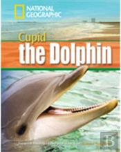 A Dolphin Named Cupid